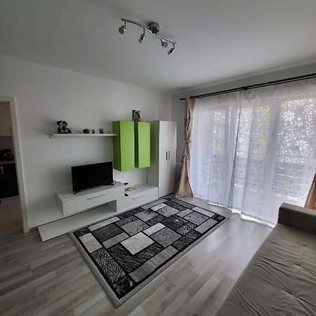 Casa Brianna Apartment Brasov Exterior photo