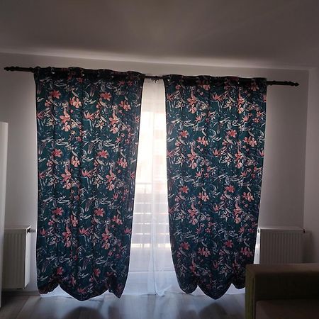 Casa Brianna Apartment Brasov Exterior photo