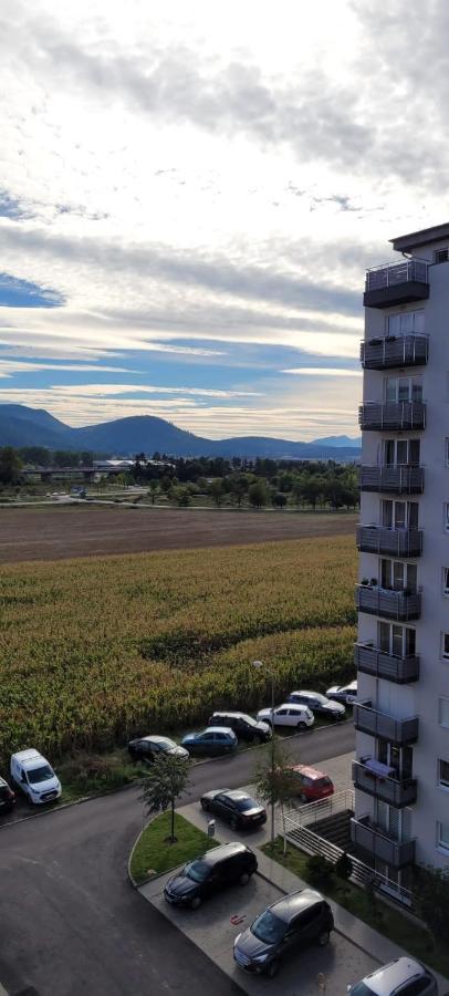 Casa Brianna Apartment Brasov Exterior photo